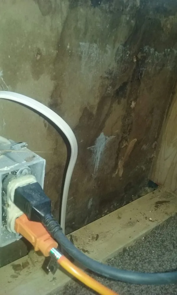 Slide of Builders Service