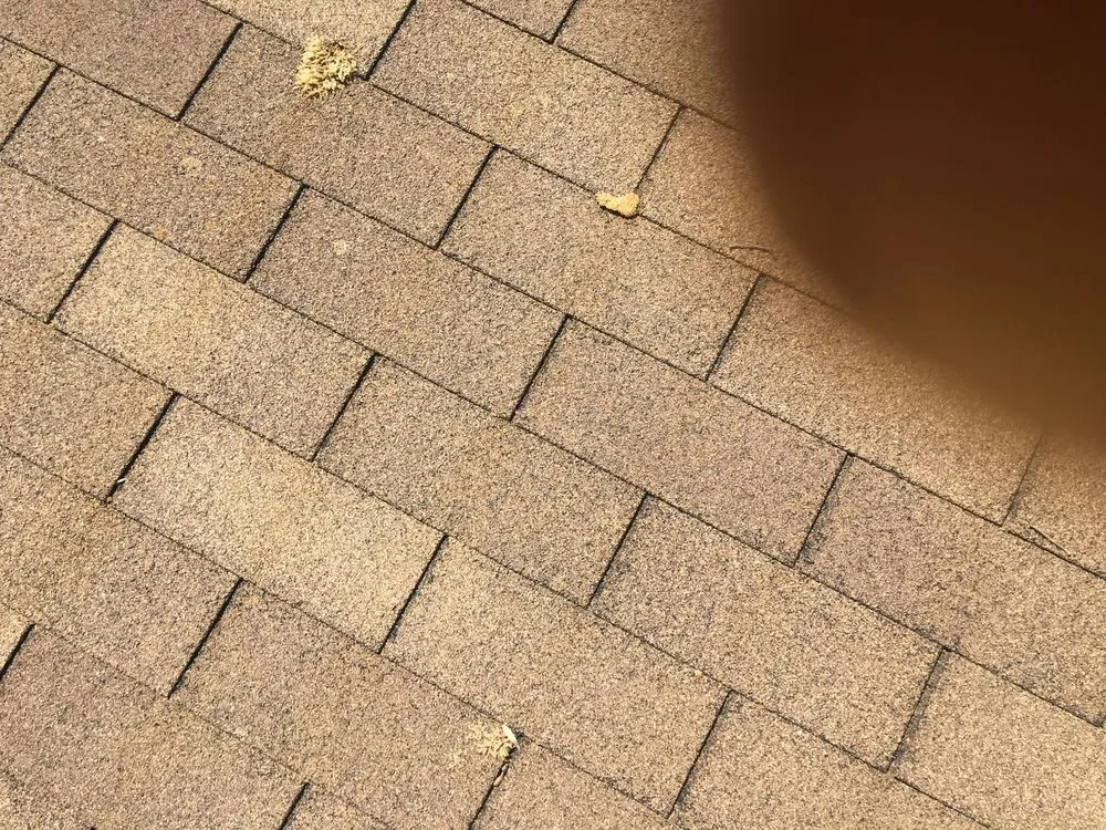 Slide of Building Wash NC