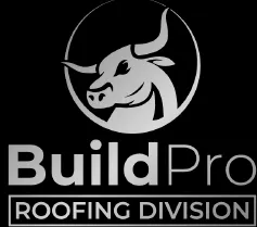 Slide of BuildPro Roofing