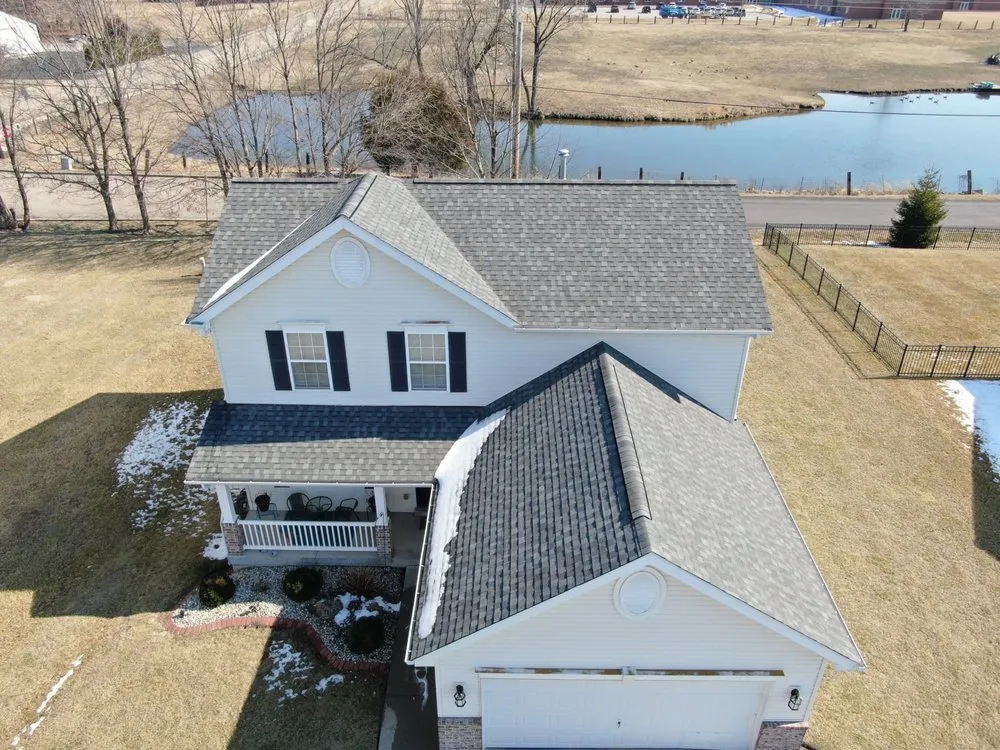 Slide of Bull Exteriors