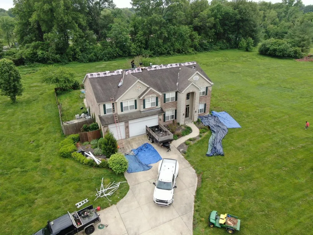 Slide of Bull Exteriors