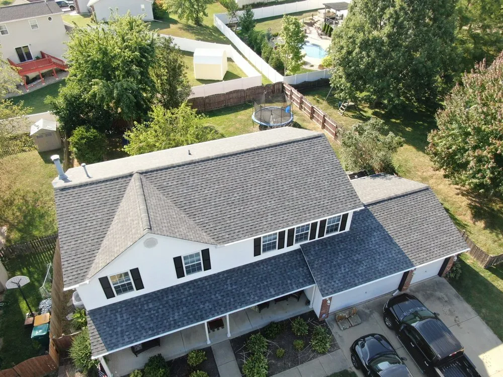 Slide of Bull Exteriors