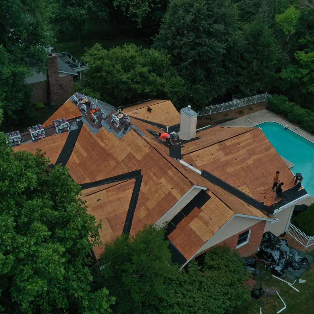 Slide of Bull Exteriors