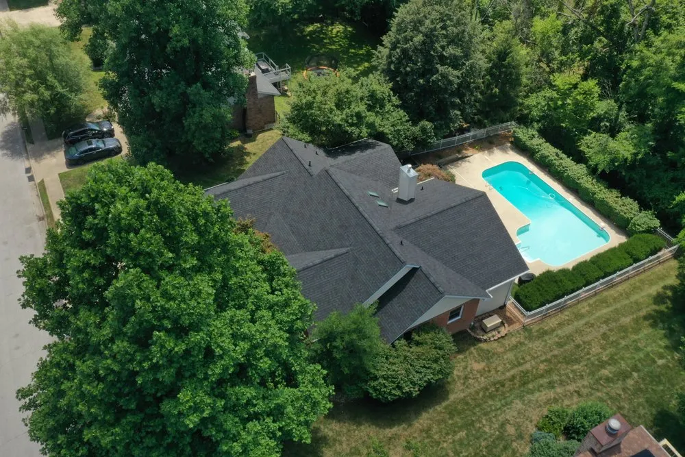 Slide of Bull Exteriors