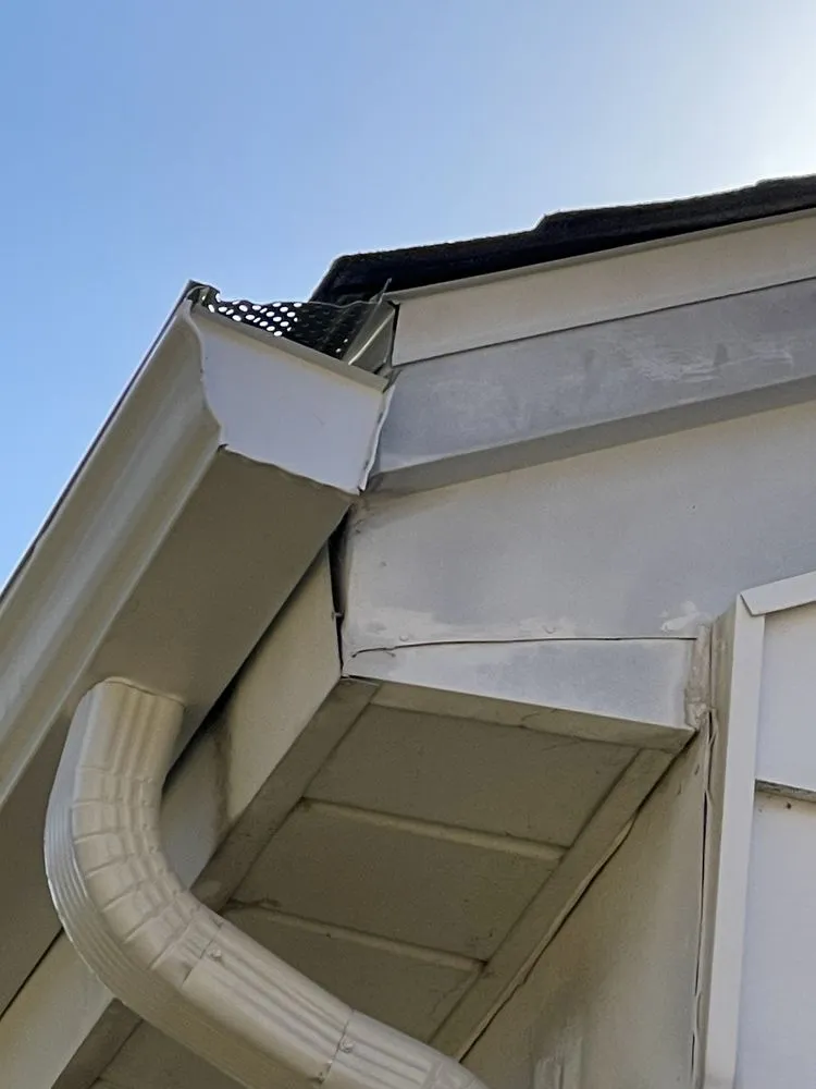 Slide of Bull Exteriors