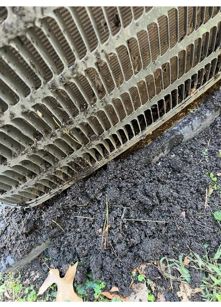 Slide of Bull Exteriors