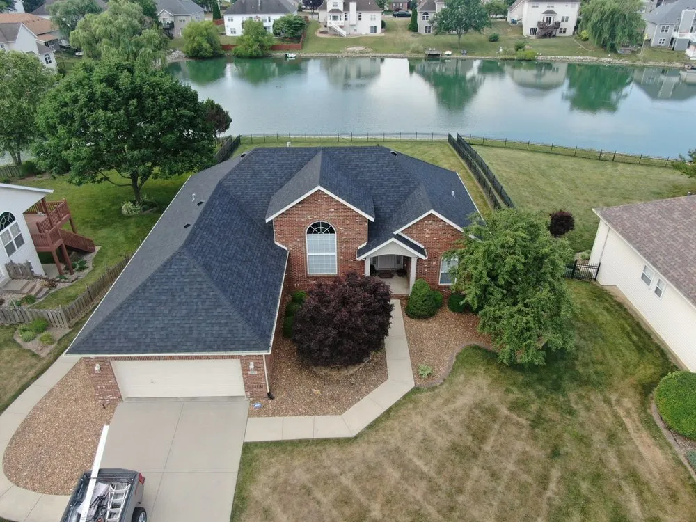 Slide of Bull Exteriors