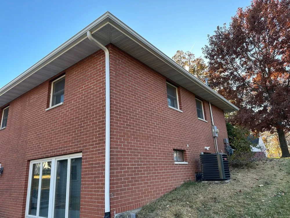 Slide of Bull Exteriors