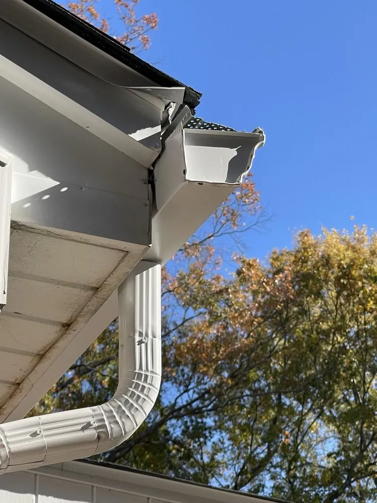 Slide of Bull Exteriors