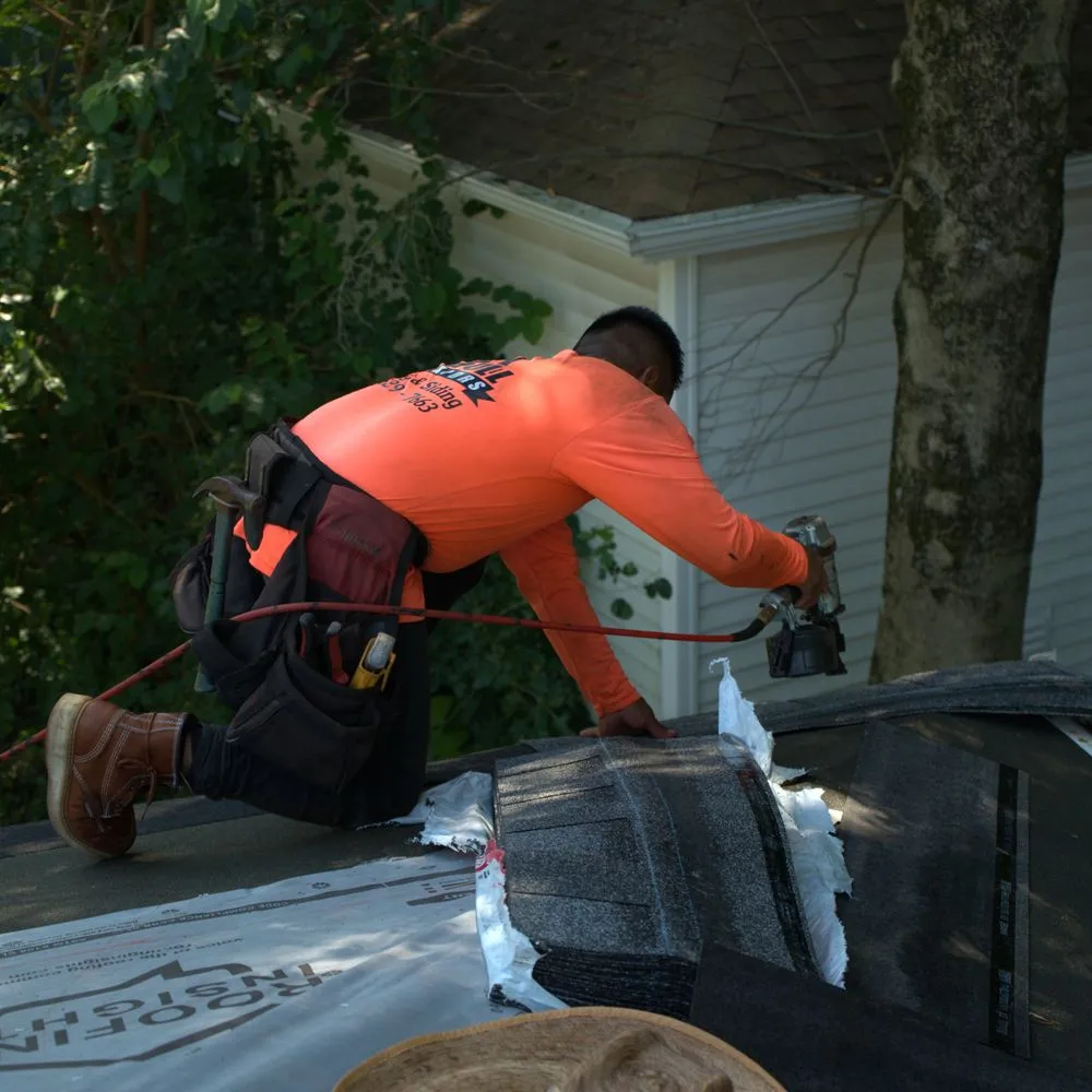 Slide of Bull Exteriors