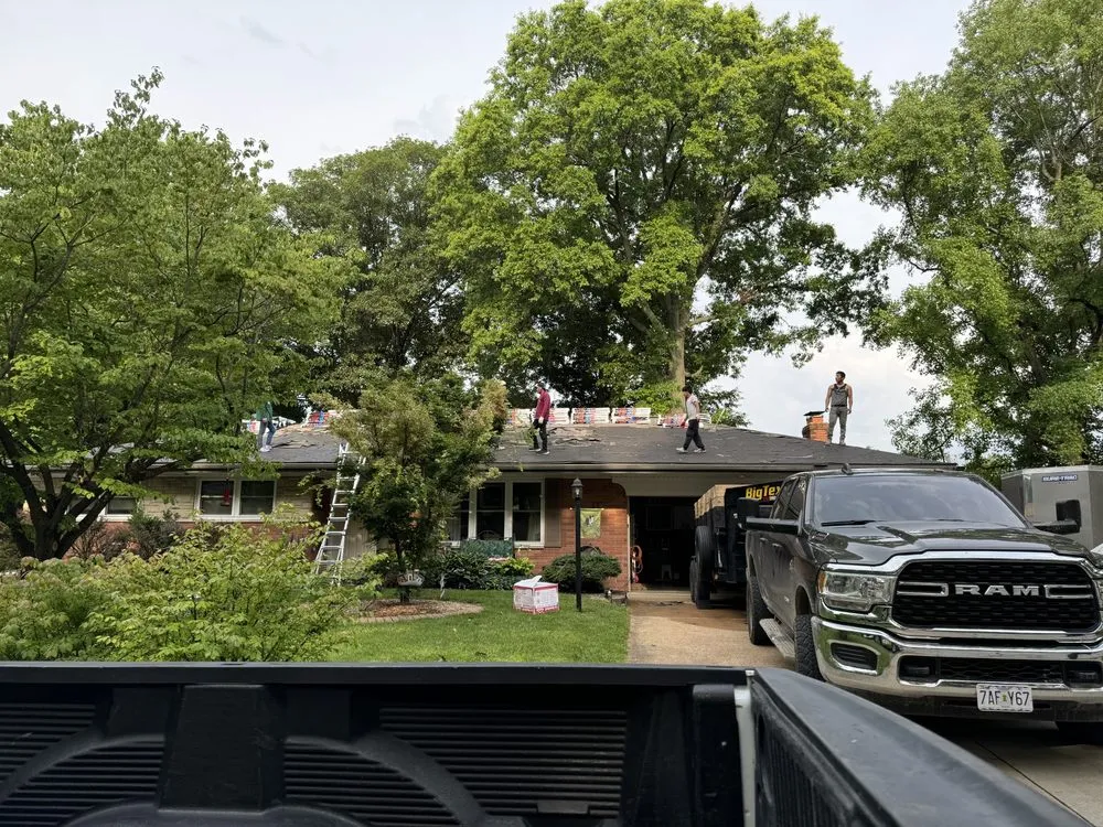 Slide of Bull Exteriors