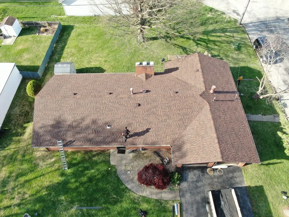 Slide of Bull Exteriors