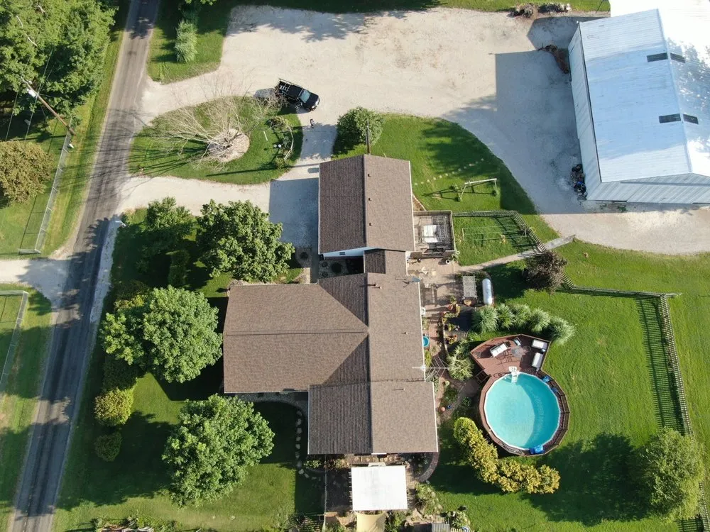 Slide of Bull Exteriors