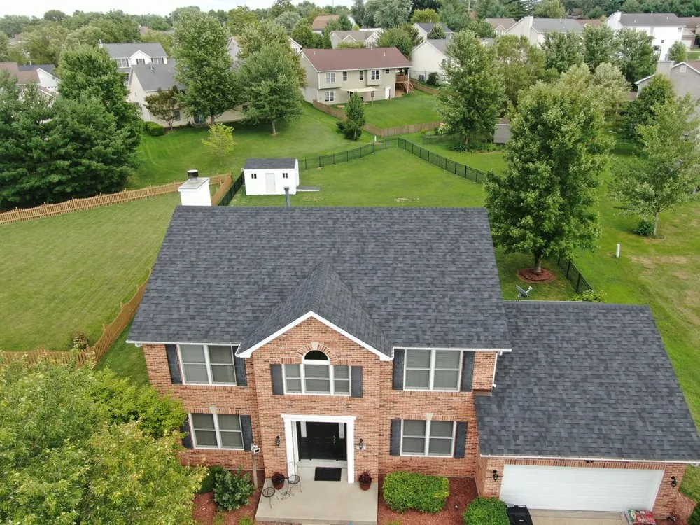 Slide of Bull Exteriors