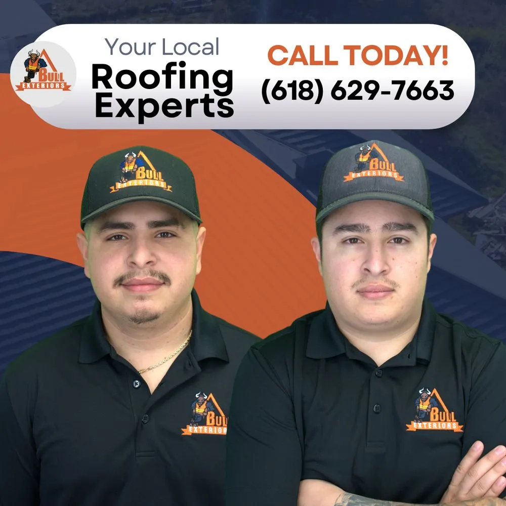 Slide of Bull Exteriors