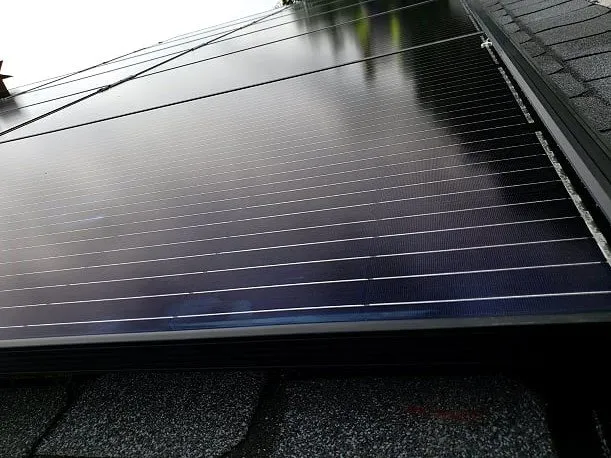 Slide of Bulldog Builders