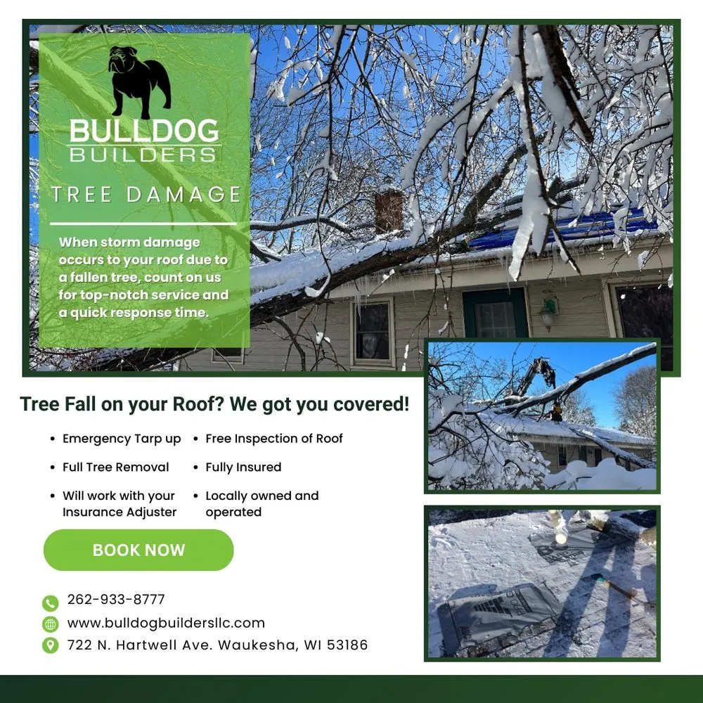 Slide of Bulldog Builders