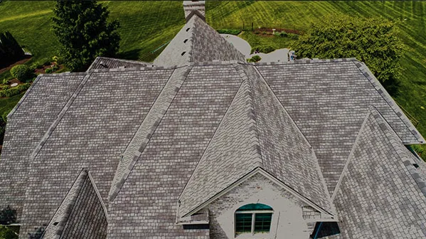 Slide of Bulldog Builders