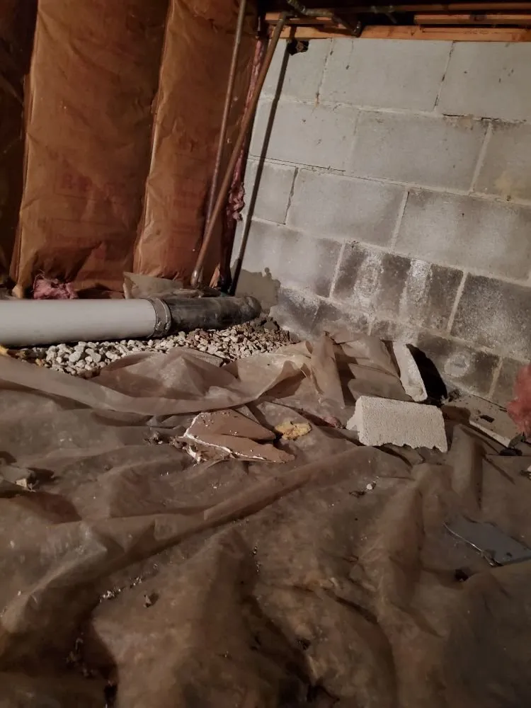 Slide of Bulldog Mechanical