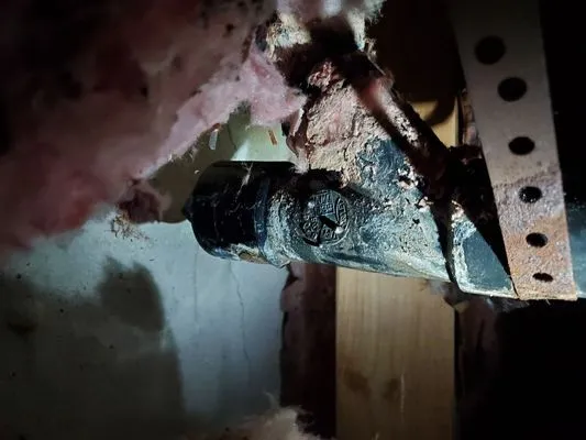 Bulldog Mechanical Logo