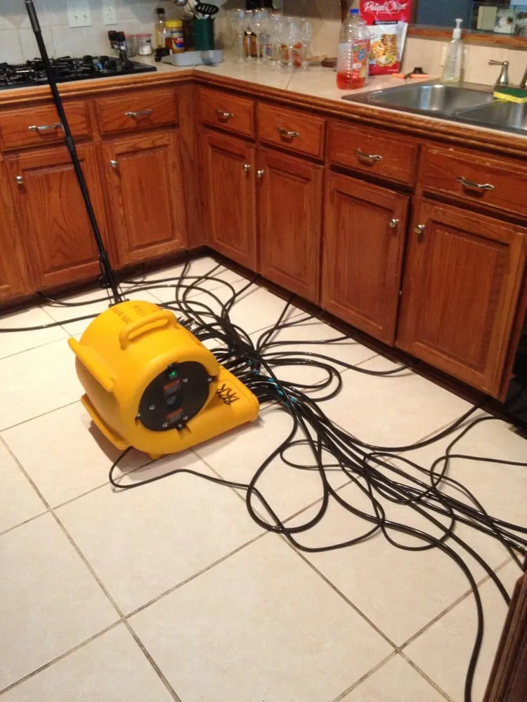 Slide of Bulldog Restoration