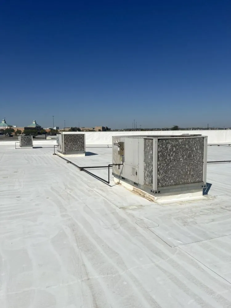 Slide of Bulldog Restoration