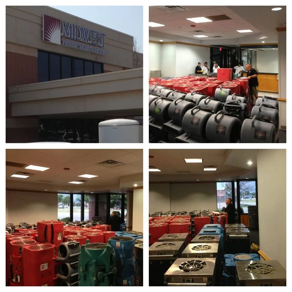 Slide of Bulldog Restoration