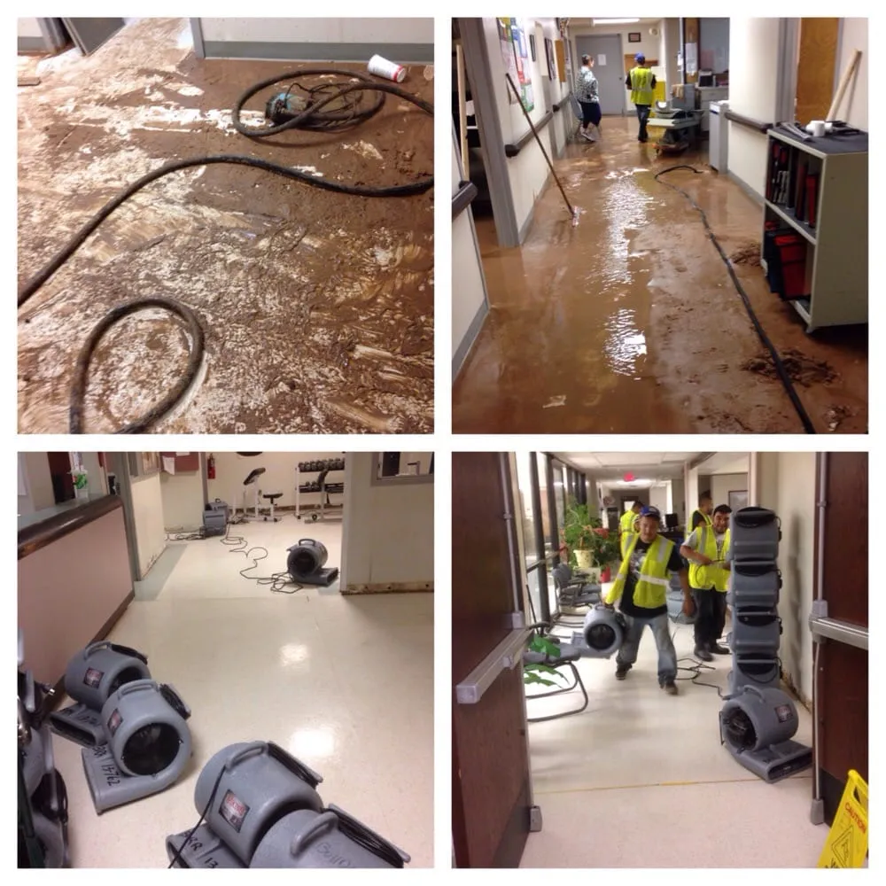 Slide of Bulldog Restoration