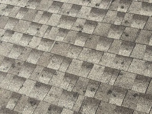 Bulldog Restoration Logo