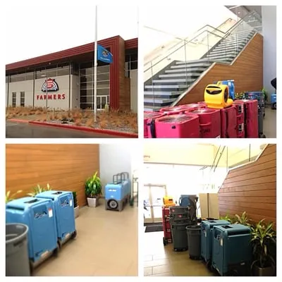 Bulldog Roofing and Restoration Logo