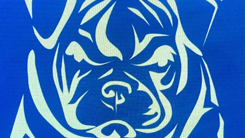 Slide of Bulldog Roofing