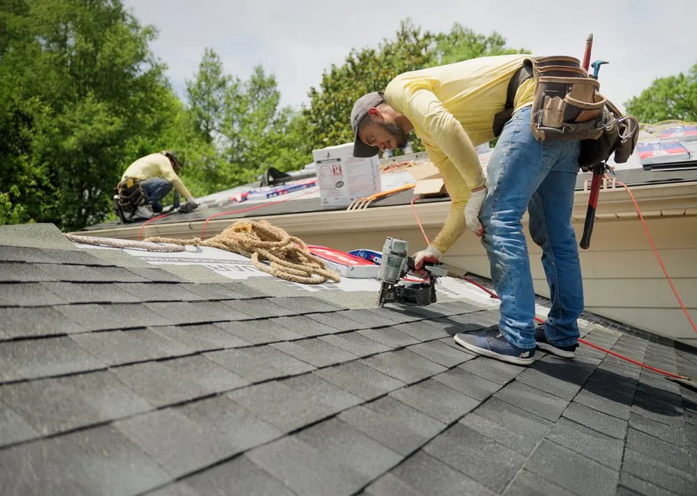Slide of Bumble Roofing