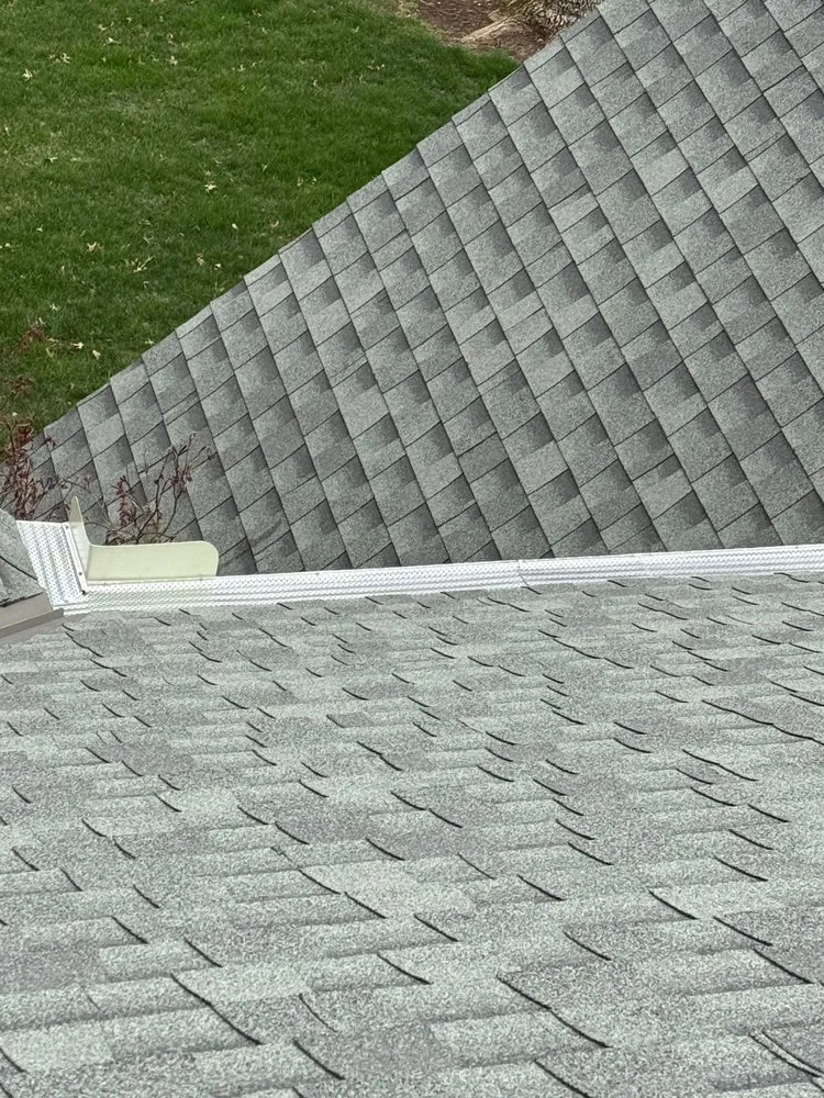 Slide of Bumble Roofing