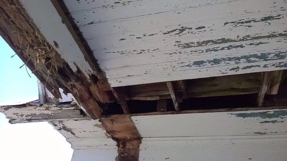 Professional roof inspection in Marlinton, WV - Burgess Construction