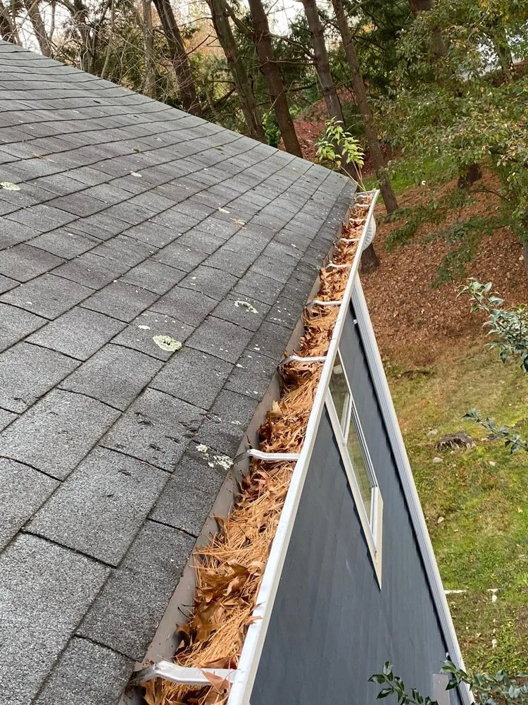 Slide of Burgos Gutter Cleaning