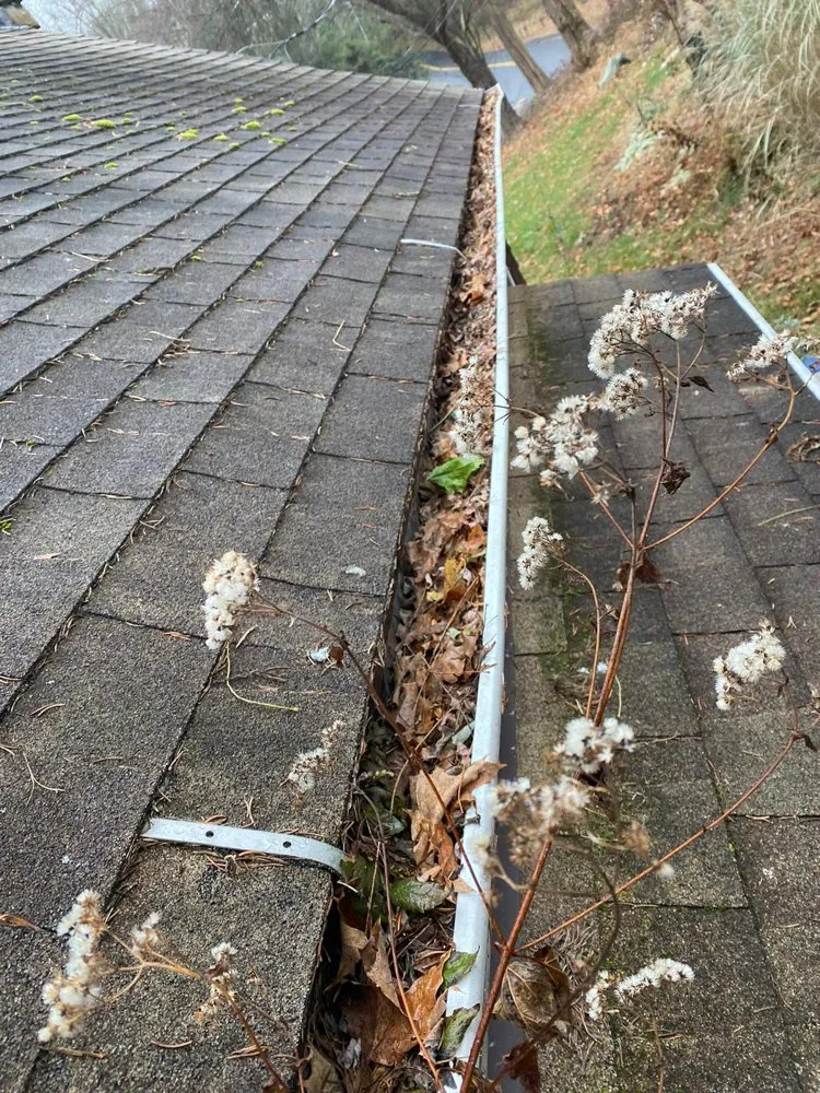 Slide of Burgos Gutter Cleaning