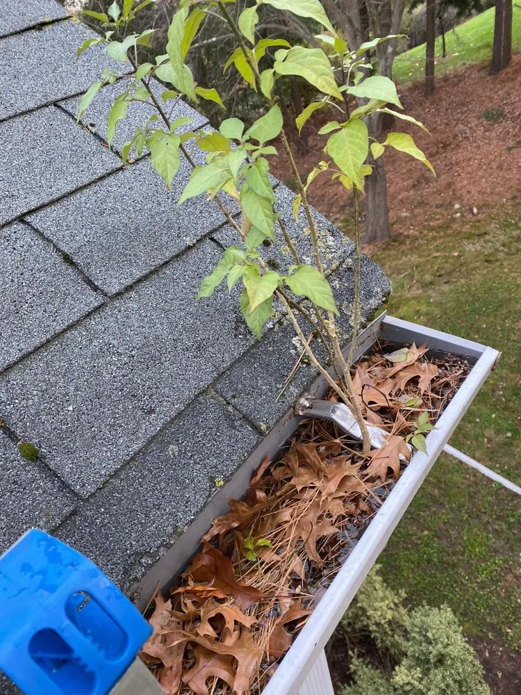 Slide of Burgos Gutter Cleaning