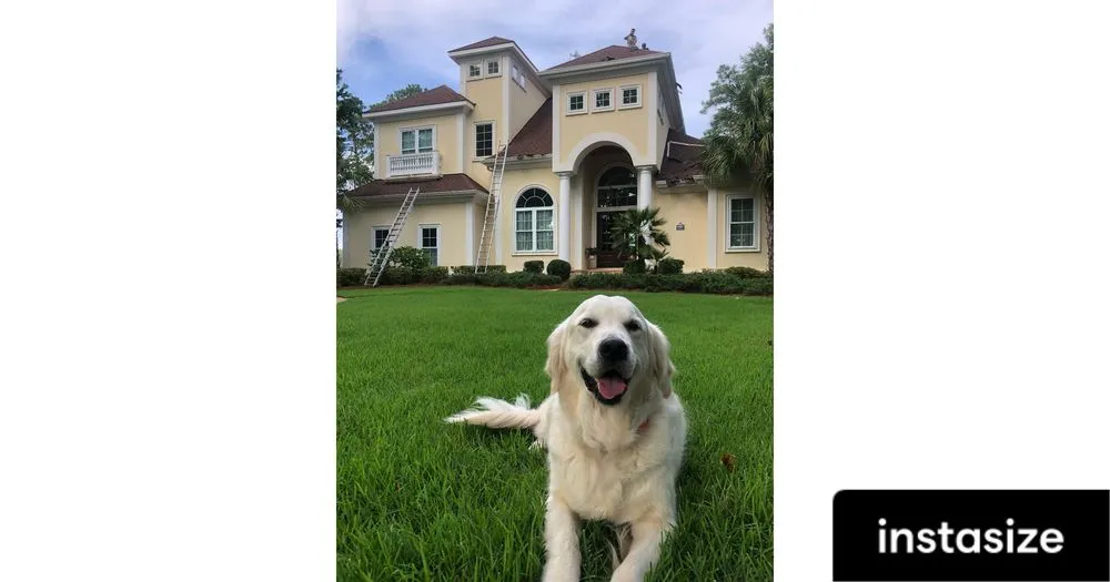 Slide of Burish Builders