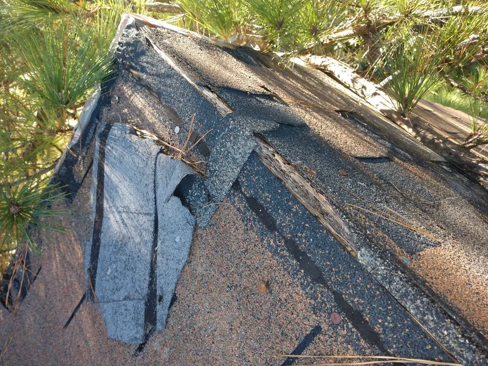 Slide of Busy Bee Renovations