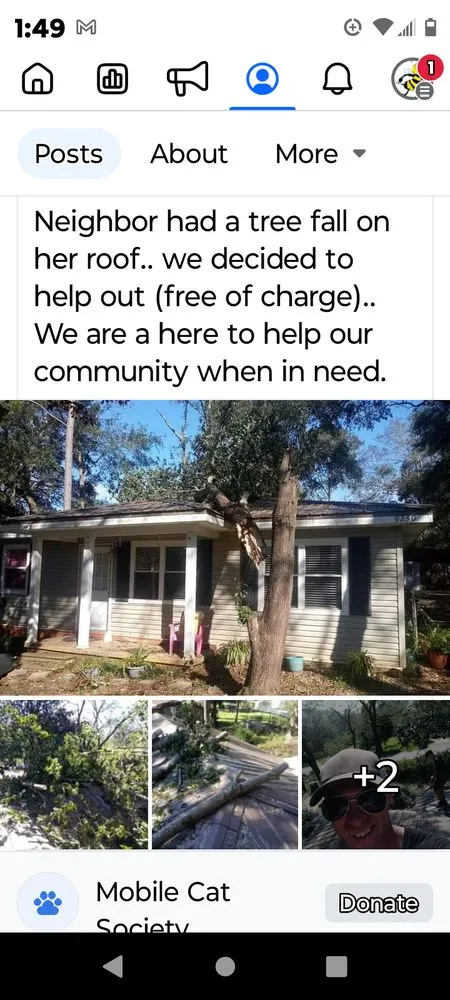 Slide of Busybee construction & outdoor Aesthetics