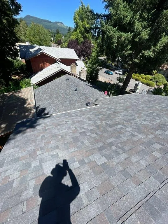 Slide of Buzzline Roofing