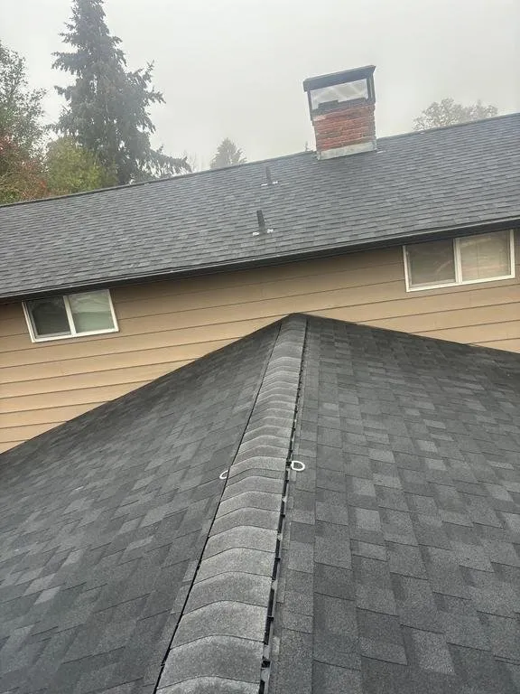 Slide of Buzzline Roofing