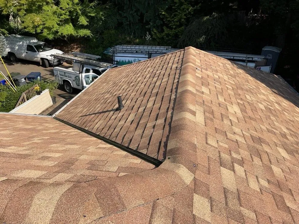 Slide of Buzzline Roofing