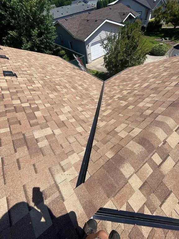 Slide of Buzzline Roofing