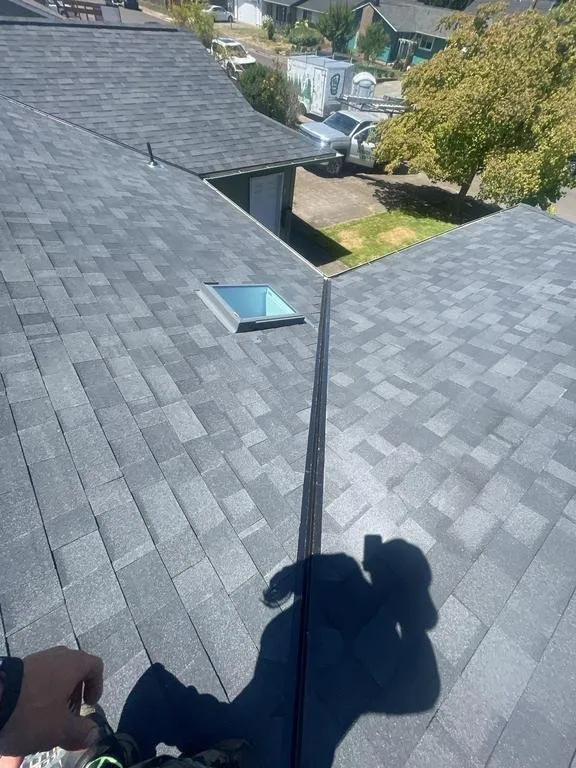 Slide of Buzzline Roofing