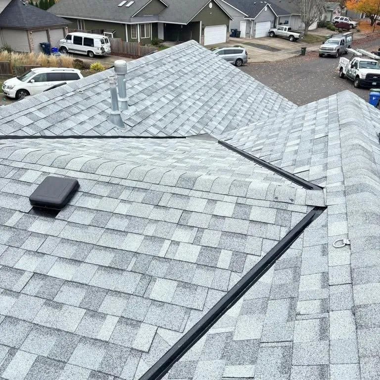 Slide of Buzzline Roofing