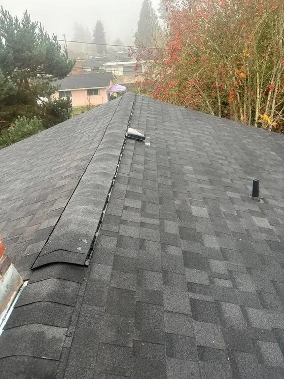 Slide of Buzzline Roofing