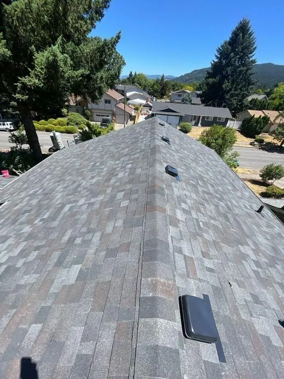 Slide of Buzzline Roofing