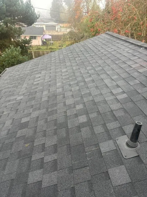 Slide of Buzzline Roofing