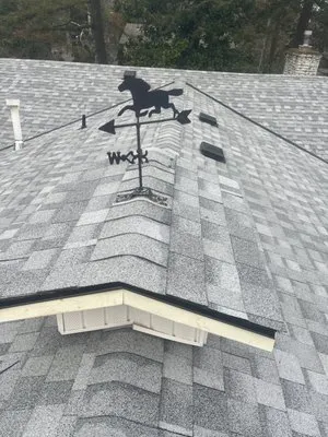 Buzzline Roofing